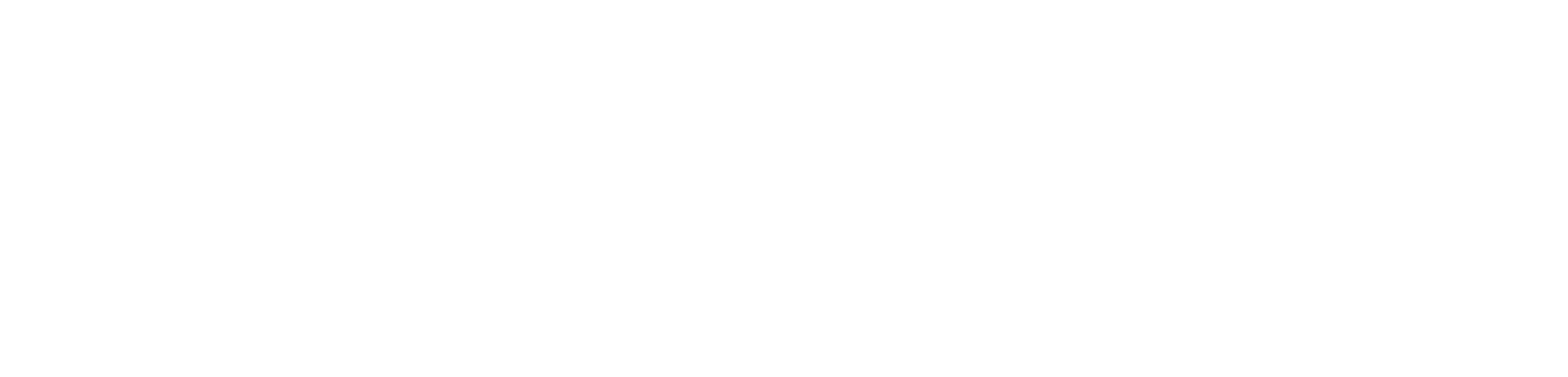 Fatih Güneş Logo