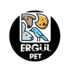 Proje 2